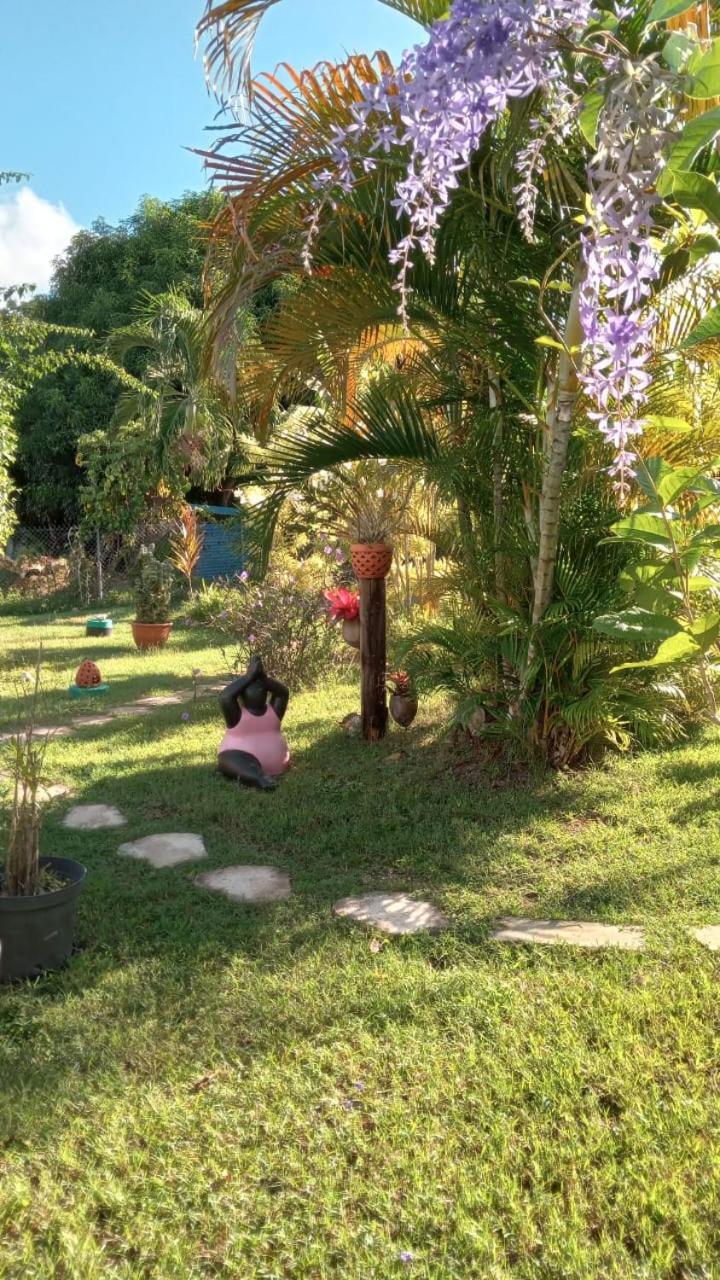 Gite Cajou Dans Jardin Tropical Ventile A Sainte-Anne Экстерьер фото